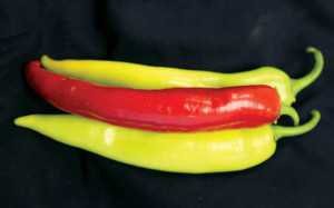Blazing Banana 