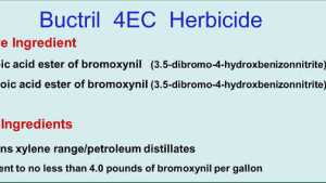 Choose Wisely For Pesticide Formulation Effectiveness