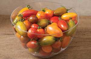 Artisan™ Tomatoes