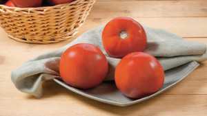 Vegetable Variety Showcase 2013: Syngenta