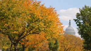 Ditch Party Politics To Move Forward With Immigration Reform [Opinion]