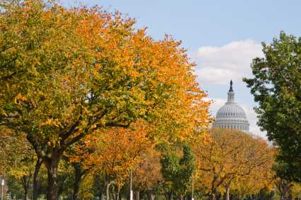 The House Passes Farm Bill