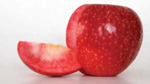 Finding A Winning Apple Variety