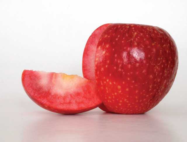 Finding A Winning Apple Variety