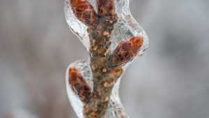 Cold Snap Hits Northeast, Midwest Regions Hard