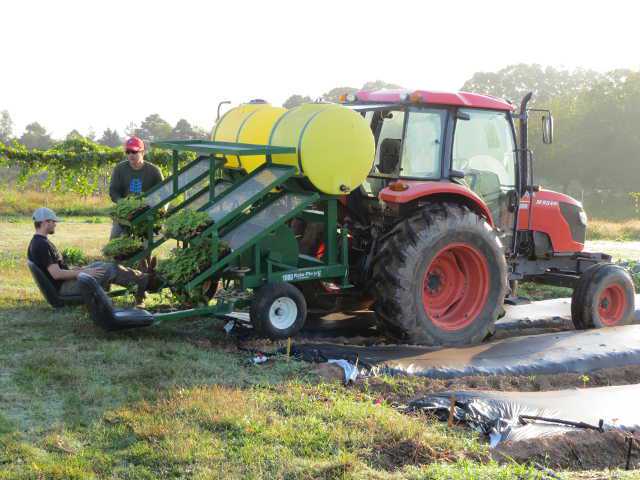 Prepare For Planting Vegetables