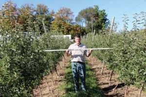Wafler tall spindle tip training system