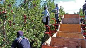 Grants Available For Farmworker Education