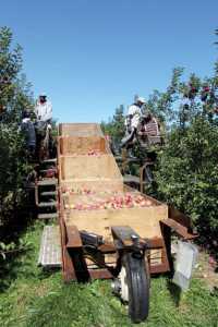 Wafler harvest platform
