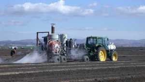 Vegetable Weed Control Options