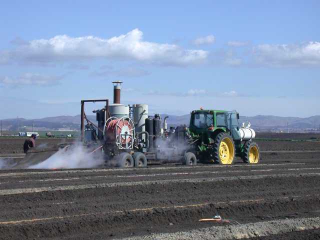 Vegetable Weed Control Options