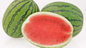 Nunhems To Introduce New Watermelon Variety At National Watermelon Convention