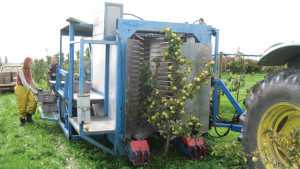 Place For Harvesters In Hard Cider