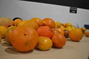 Free Fruit!