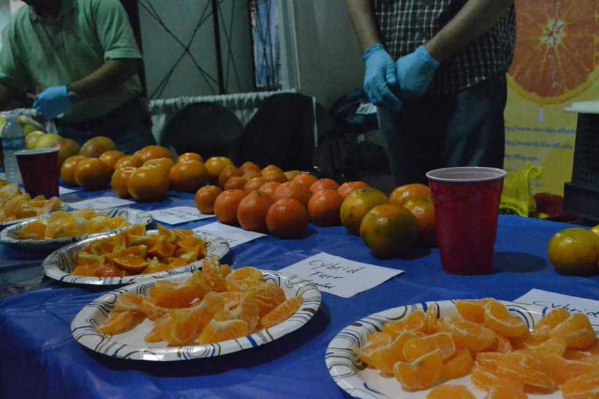Savory Samples