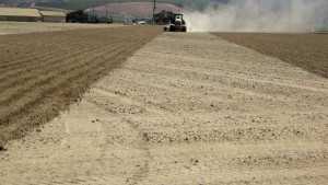 Pointers On Avoiding Nutrient Deficits