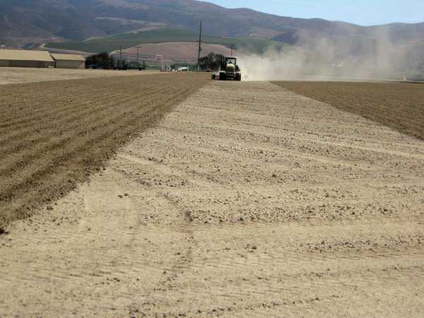 Pointers On Avoiding Nutrient Deficits