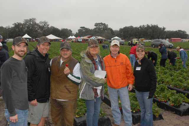 Florida Strawberry Picking Challenge A Winner For Charity
