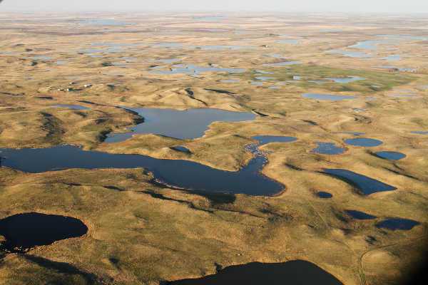 Climate Change Consensus Extends Beyond Climate Scientists, Purdue Study Indicates