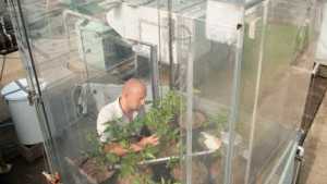 Potatoes Could Step Up Performance Under Climate Change Pressure