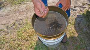 Soil Samples Allow Scientists To Dig Deeper Into HLB