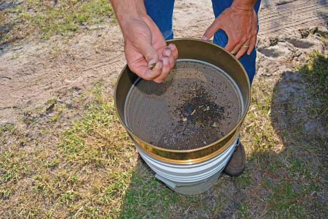 Soil Samples Allow Scientists To Dig Deeper Into HLB