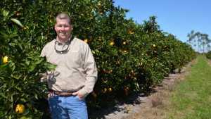 Duda Citrus Division’s Big Planting Makes Bigger Statement