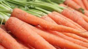 Nimitz Nematicide Receives Emergency Exemption On Carrots In Michigan