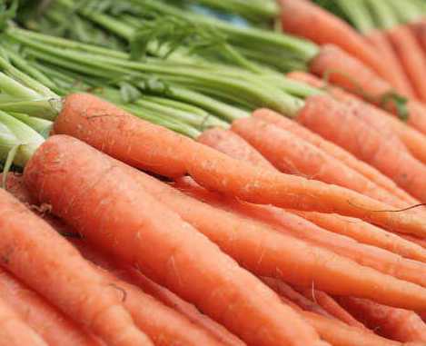 Nimitz Nematicide Receives Emergency Exemption On Carrots In Michigan