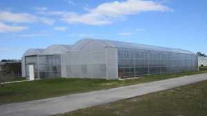 8 Production Tips For Greenhouse Production