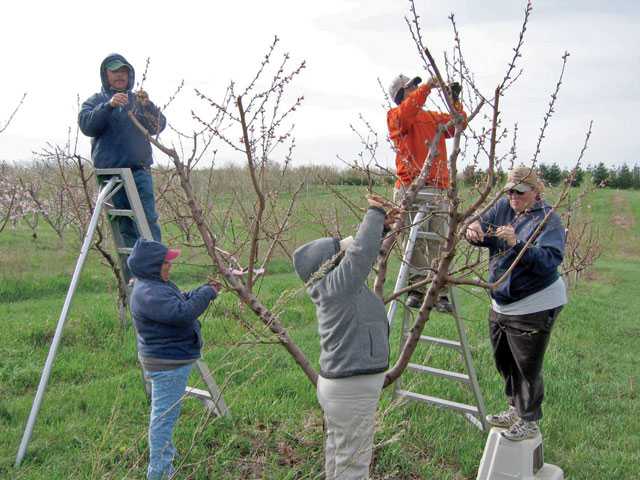 Fruit Growers Speak Out In Favor Of Immigration Reform