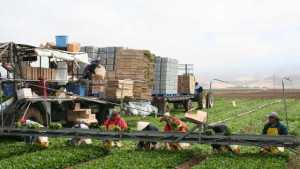Farm Credit Associations Pledge $100,000 To Alleviate Hunger Caused By California’s Drought
