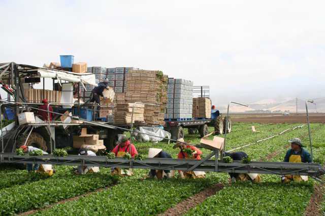 Farm Credit Associations Pledge $100,000 To Alleviate Hunger Caused By California’s Drought