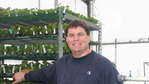 Utilizing Integrated Pest Management In The Greenhouse