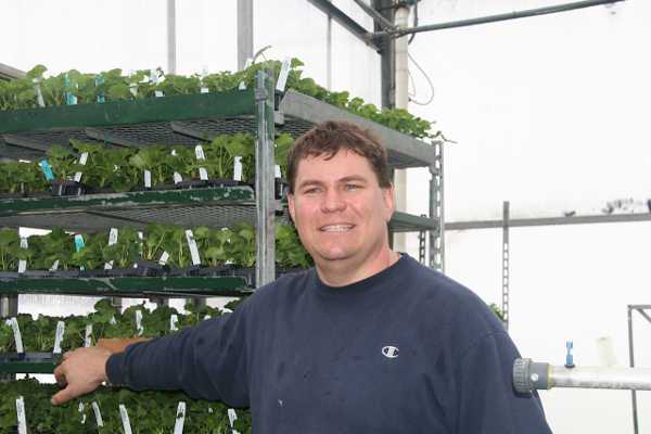 Utilizing Integrated Pest Management In The Greenhouse
