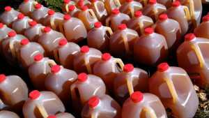 Michigan Man Sentenced To Prison After Selling Sweet Cider With E. Coli
