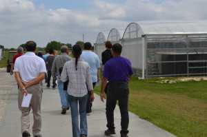 Off To The Greenhouse We Go!