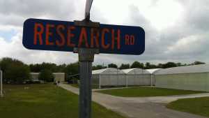 Florida Citrus Growers Give Landslide Support To Research Order