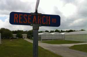 The Road To Research