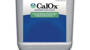 BioSafe Systems Introduces CalOx Calcium Supplement