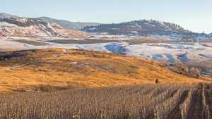Seeing the World’s Best Orchards Firsthand Through IFTA