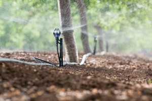 John Deere Micro Sprinkler and Media Filter