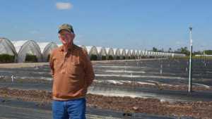 Florida Blueberry Trailblazer Stays On Cutting Edge Of Innovation