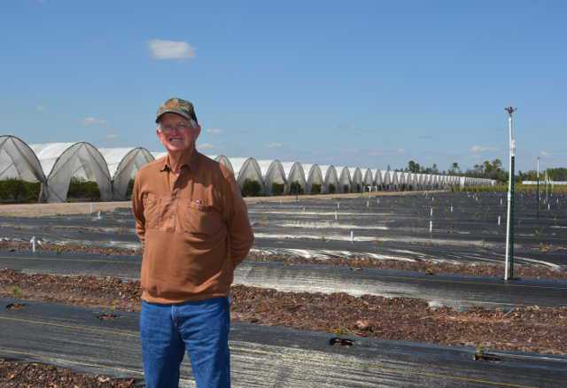 Florida Blueberry Trailblazer Stays On Cutting Edge Of Innovation