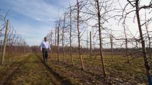 Terence Robinson On The Orchard Of The Future