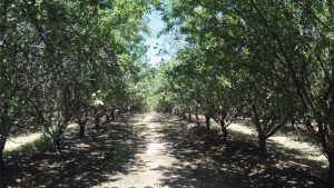 New Partnership Explores Groundwater Recharge