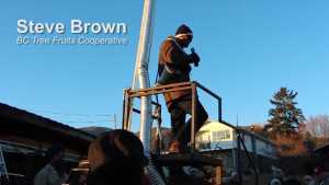 How To Use A Rice Picker As Harvest Platform For Tree Fruit
