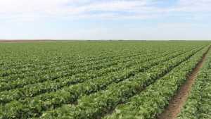 Farming Production Costs And Farmland Values Increase