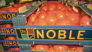 Seminole Tribe Of Florida Acquires Majority Stake In Blue Lake Citrus
