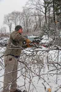 Meister Media orchard pruning 4